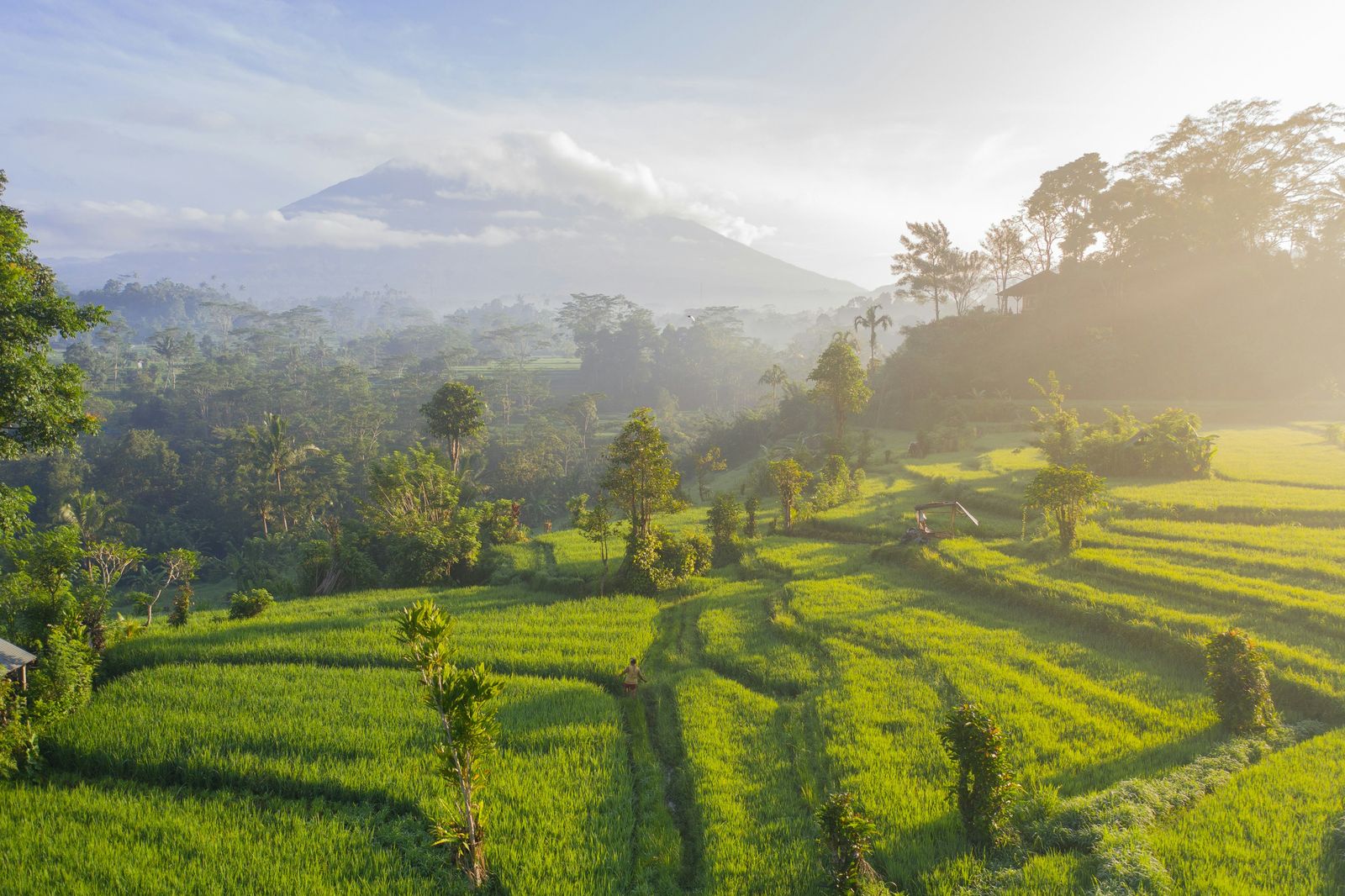 The green Sidemen valley beneath Mount Agung